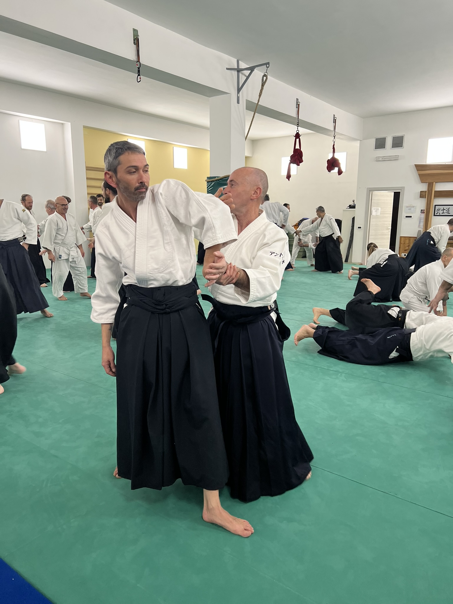 5D6E8C35 FDA3 4373 81AE 58E341BEF6E2_1_102_o.jpeg