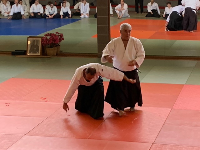 StageAidaLaLoggia %20 %2042 .jpeg