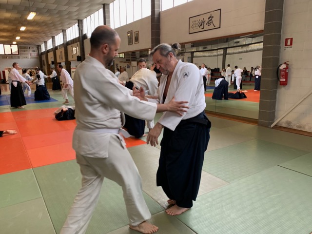 StageAidaLaLoggia %20 %2014 .jpeg