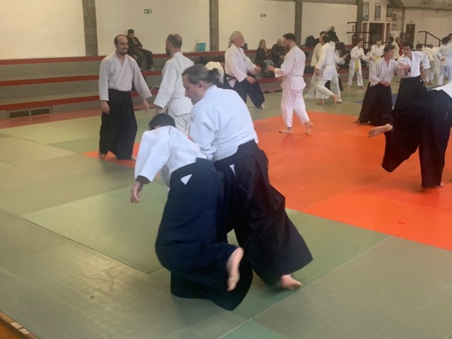 StageAidaLaLoggia %20 %2041 .jpeg