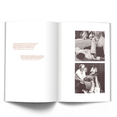 aikido christian tissier 3